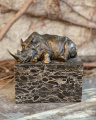 Статуя носорога из бронзы