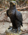 Статуя бронзового орла