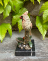Австрийская Бронзовая статуэтка птицы с хохолком